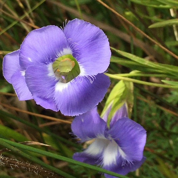 Meet your Posher, Katrin - Picture 9 of 16